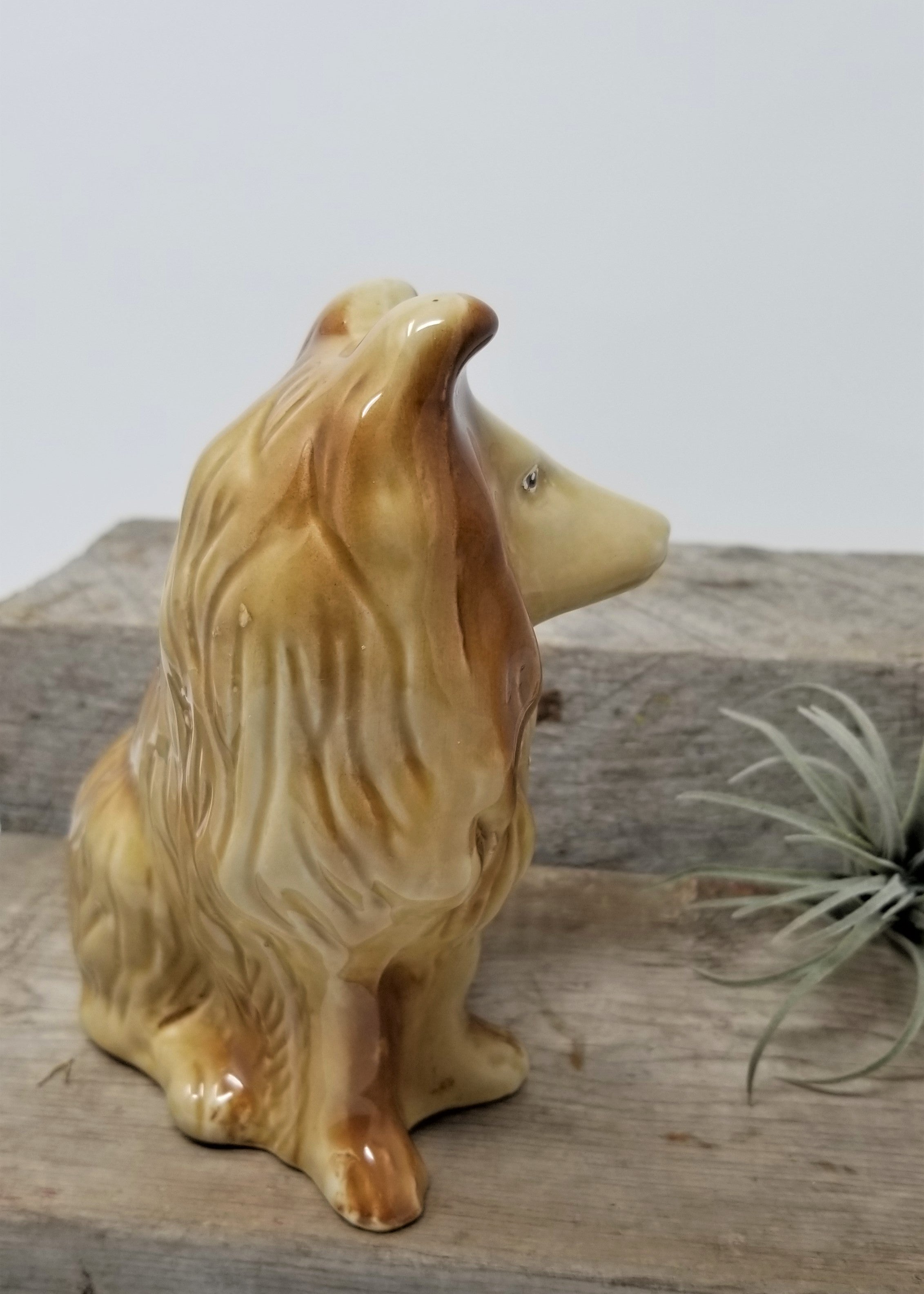 Handsome Vintage Porcelain Dog Figurine Collie