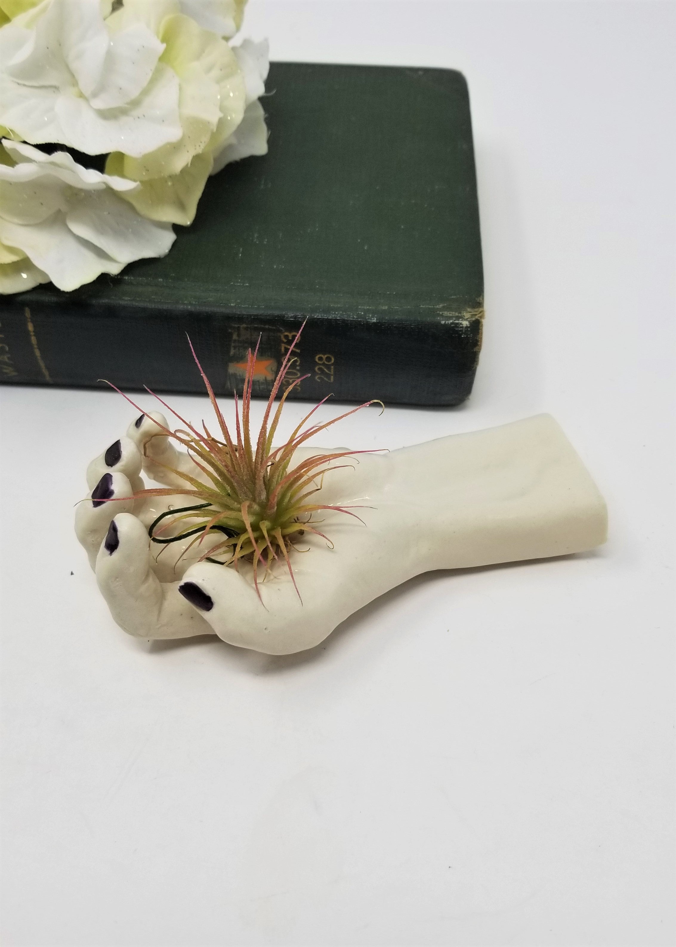 Home Grown Air Plant in Human-Like Hand Cool